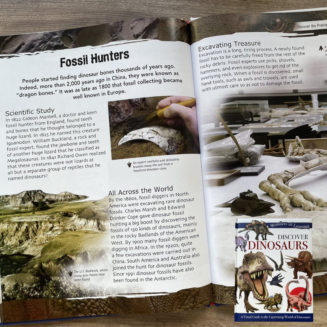 Wonders of Learning (DINOSAURS)