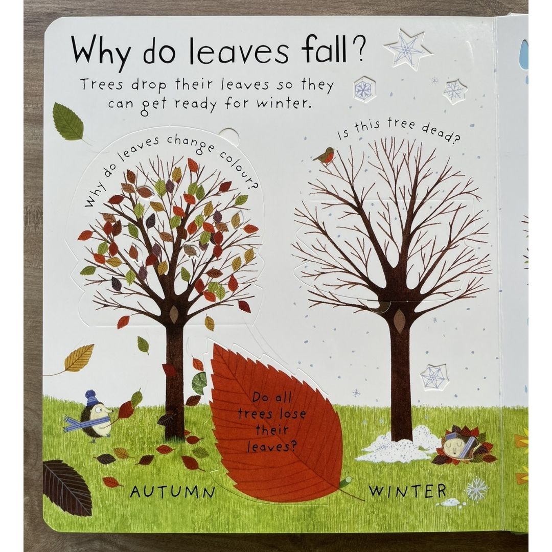 Usborne Lift-the-flap First Questions and Answers: HOW DO FLOWERS GROW? (brand new board book)