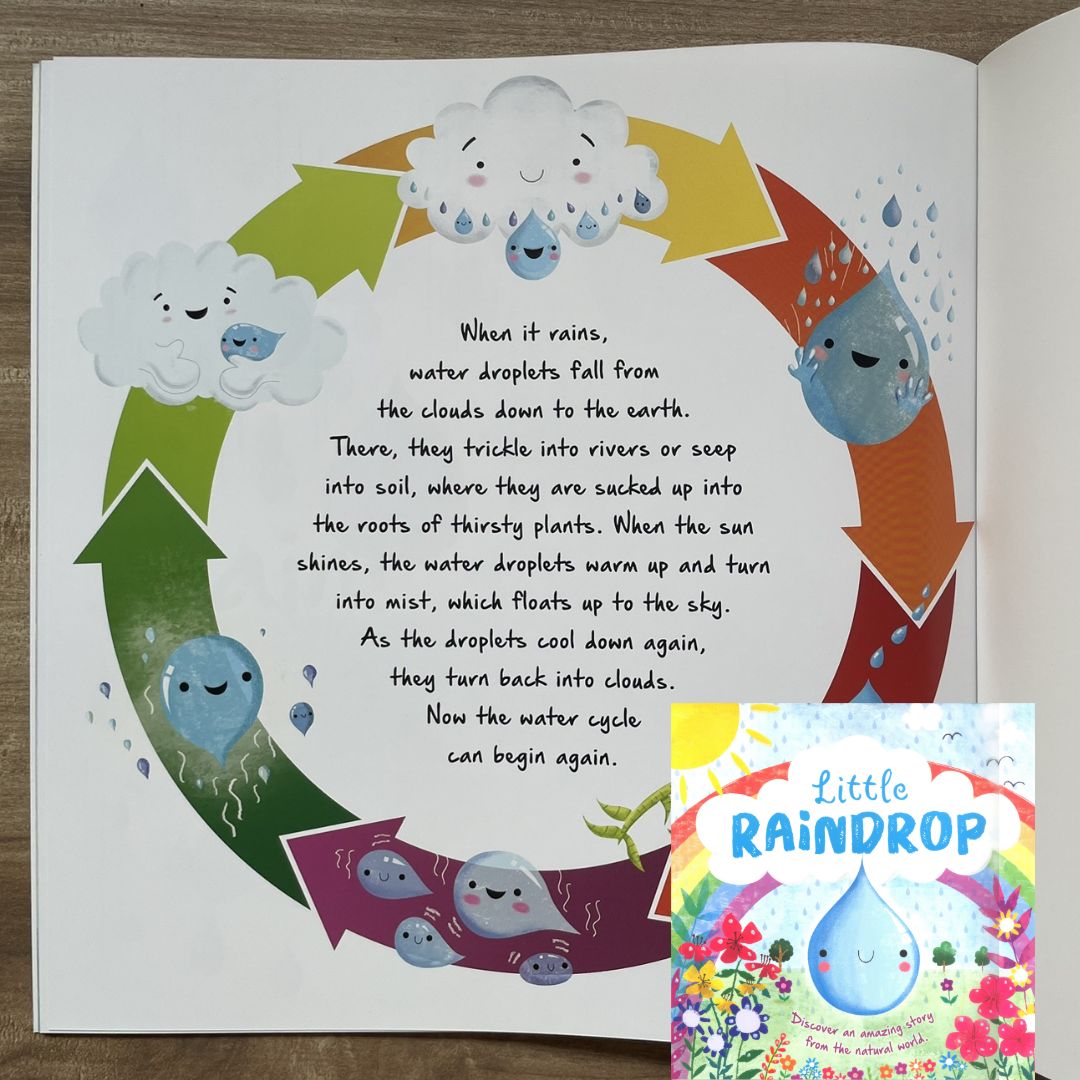 Storybooks Picture Flats (SINGLES, brand new SOFTCOVER) (Stories about Caterpillar, Raindrop, Rain, Snow, Snowflake, Love, Dinosaurs)