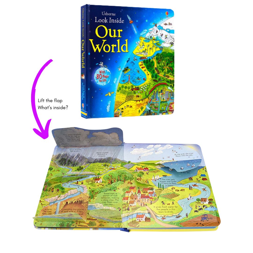 Usborne LOOK INSIDE (SINGLES, brand new Lift-the-flap Board book, w/ SLIGHT DENTS on book cover) Animals / Building Sites / Cars / Computers / Hospital / Sports / Things the Go / What Happens When You Eat / Our World / Your Body