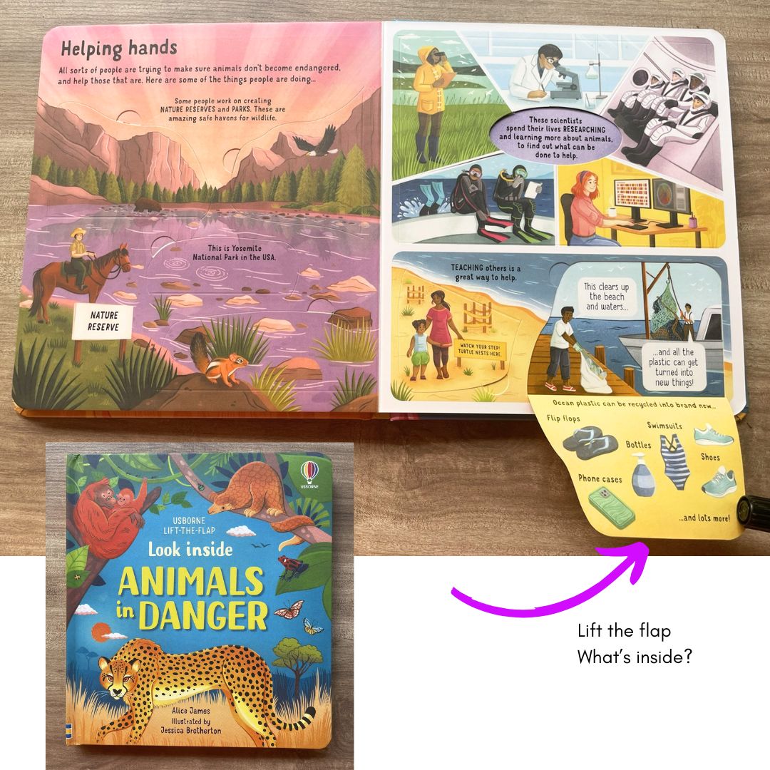 Usborne LOOK INSIDE (SINGLES, brand new Lift-the-flap Board book, w/ SLIGHT DENTS on book cover) Animals / Building Sites / Cars / Computers / Hospital / Sports / Things the Go / What Happens When You Eat / Our World / Your Body