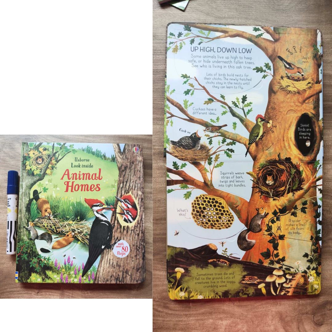 Usborne LOOK INSIDE (SINGLES, brand new Lift-the-flap Board book, w/ SLIGHT DENTS on book cover) Animals / Building Sites / Cars / Computers / Hospital / Sports / Things the Go / What Happens When You Eat / Our World / Your Body