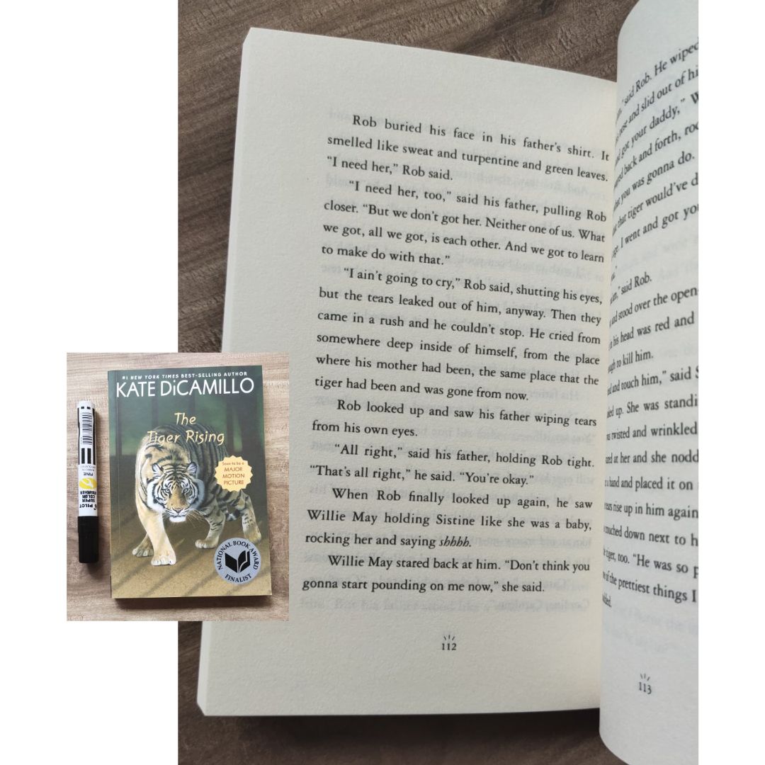 The Kate Dicamillo Classic Collection Boxed Set (8 books) softcover