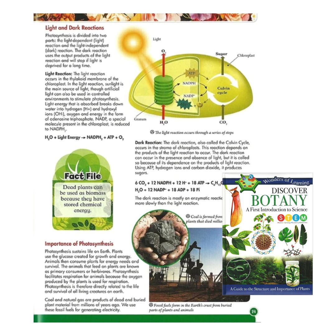 Wonders of Learning (BOTANY)