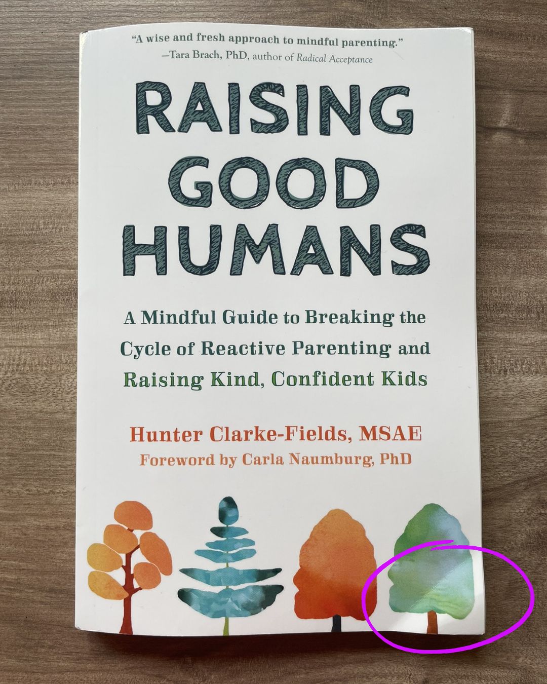 Raising Good Humans (brand new softcover, with SLIGHT DENTS and FOLDS on book cover and pages)