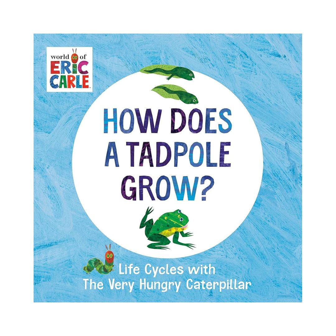 World of Eric Carle: Life Cycles with The Very Hungry Caterpillar (SINGLES, brand new Board Book, with SLIGHT DENTS on book cover) (How Does a Caterpillar Change / How Does an Egg Hatch / How Does a Tadpole Grow / How Does a Seed Sprout)