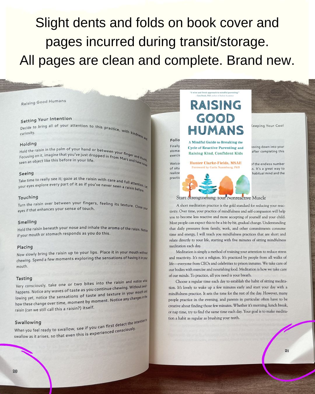 Raising Good Humans (brand new softcover, with SLIGHT DENTS and FOLDS on book cover and pages)