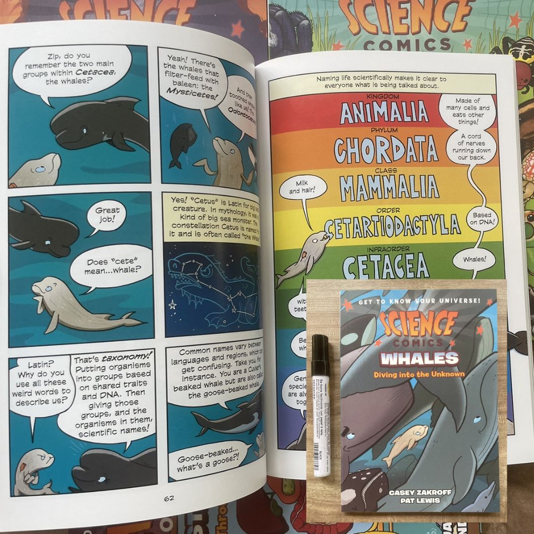 Science Comics (6 books, softcover, no box) (Rocks and Minerals / Spiders / The Digestive System / Whales / Bridges / Birds of Prey)