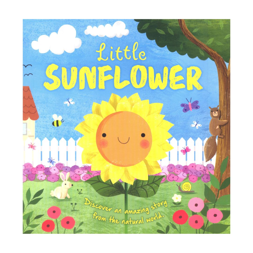 Storybooks Picture Flats (SINGLES, brand new SOFTCOVER) (Stories about Caterpillar, Raindrop, Rain, Snow, Snowflake, Love, Dinosaurs)