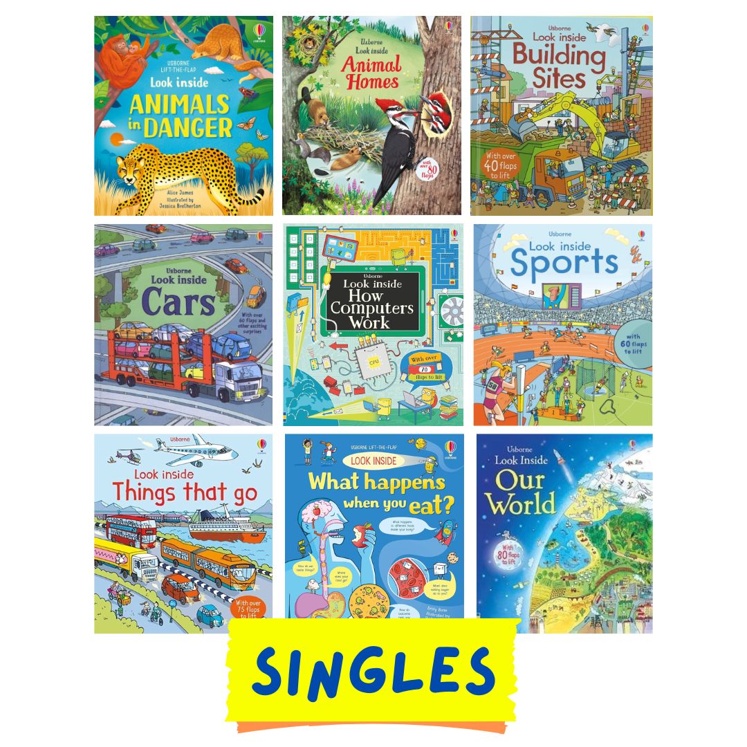 Usborne LOOK INSIDE (SINGLES, brand new Lift-the-flap Board book, w/ SLIGHT DENTS on book cover) Animals / Building Sites / Cars / Computers / Hospital / Sports / Things the Go / What Happens When You Eat / Our World / Your Body