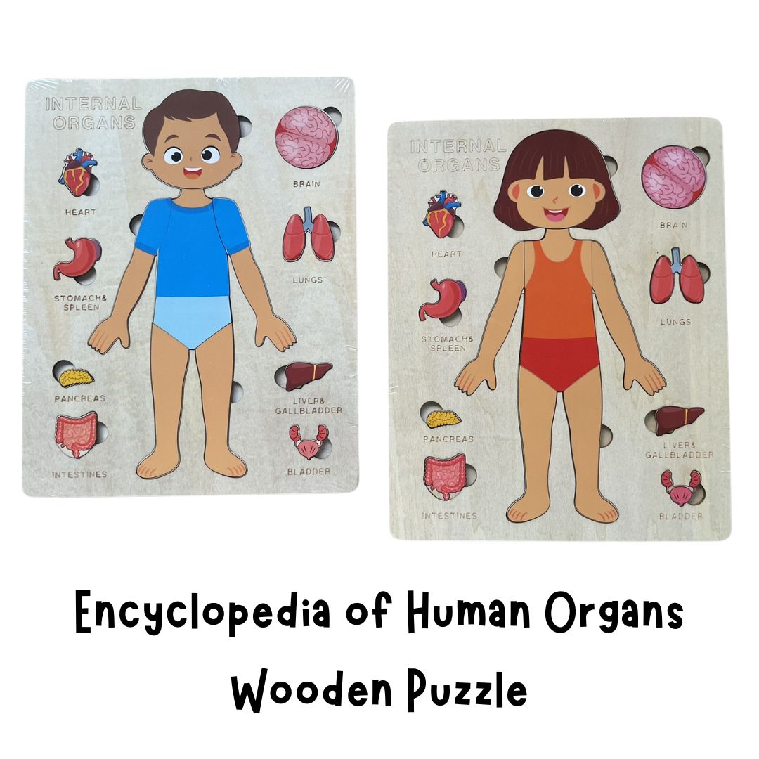 Human Body Anatomy / Human Organs / Human Structure Multi-Layer Wooden Puzzle – Montessori Educational Toy for Early Learning, Organ Recognition, Brain-Boosting Toy for Boys & Girls (Human Body Busy Board)