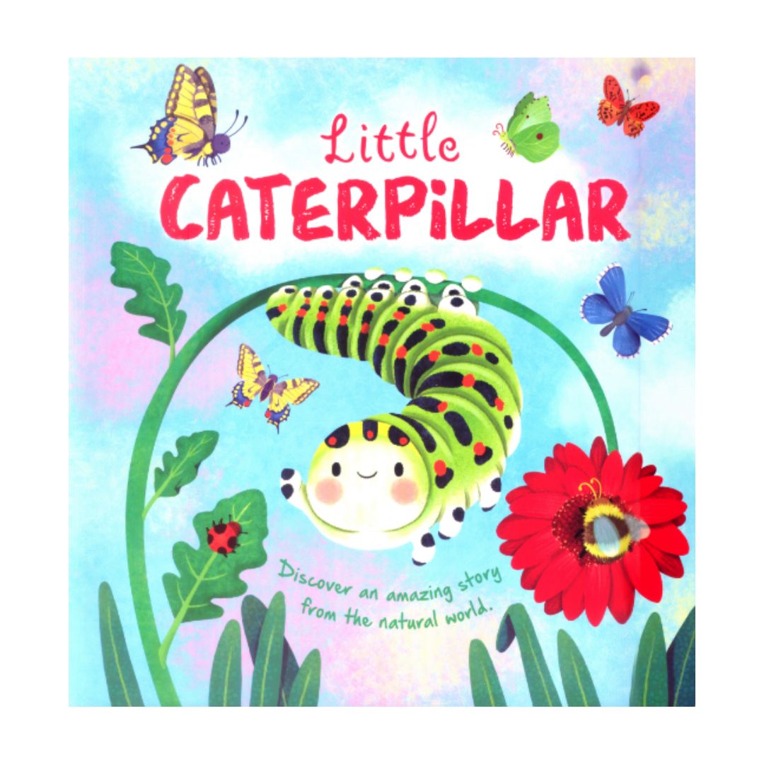 Storybooks Picture Flats (SINGLES, brand new SOFTCOVER) (Stories about Caterpillar, Raindrop, Rain, Snow, Snowflake, Love, Dinosaurs)