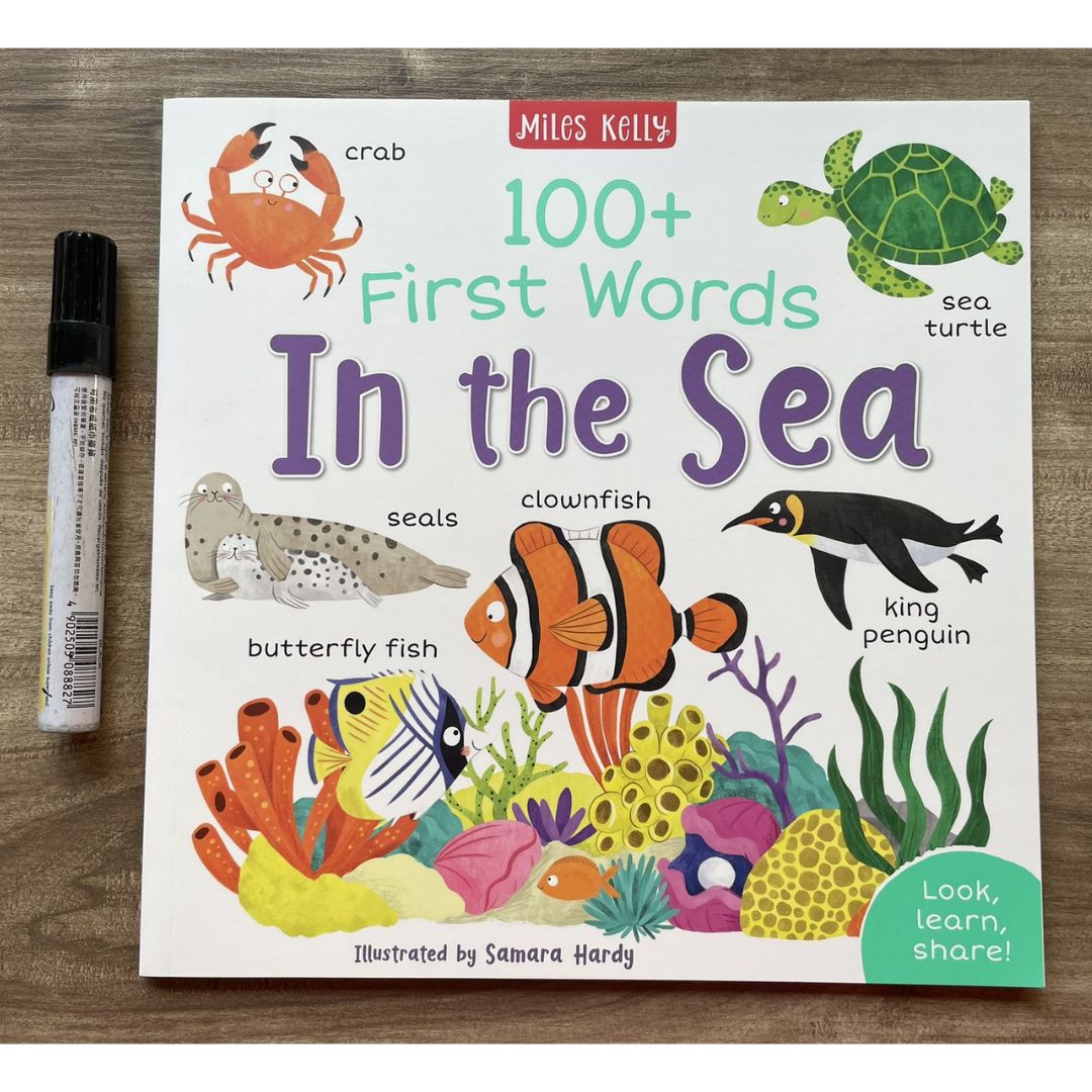 Miles Kelly 100+ FIRST WORDS (SINGLES, brand new softcover) Animals / Home / School / In the Sea / On the Go / Out and About