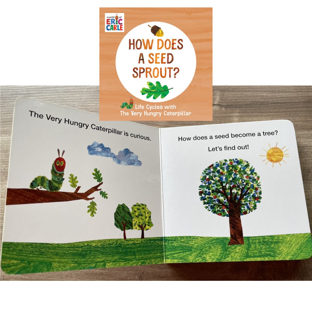 World of Eric Carle: Life Cycles with The Very Hungry Caterpillar (SINGLES, brand new Board Book, with SLIGHT DENTS on book cover) (How Does a Caterpillar Change / How Does an Egg Hatch / How Does a Tadpole Grow / How Does a Seed Sprout)