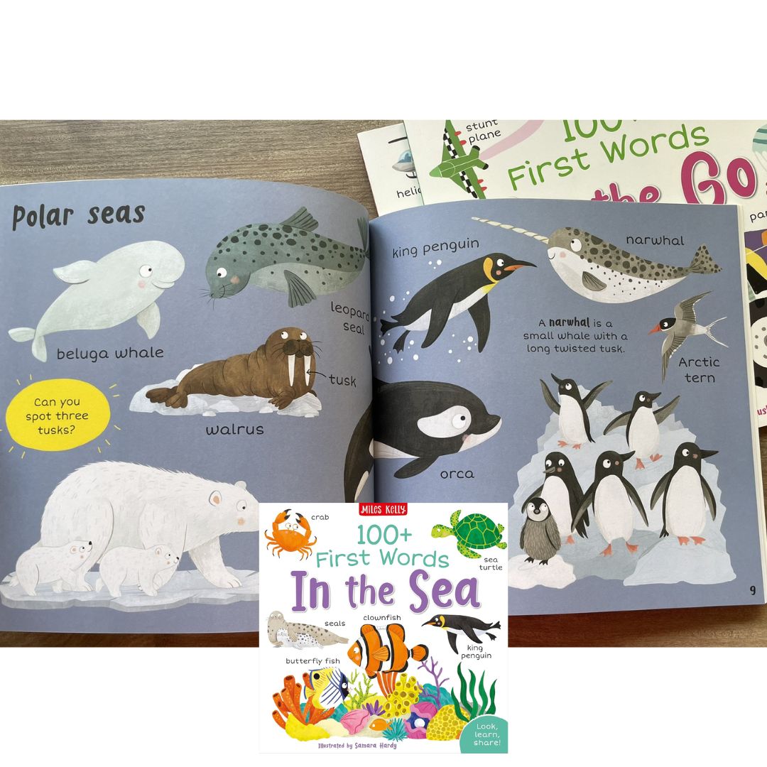 Miles Kelly 100+ FIRST WORDS (SINGLES, brand new softcover) Animals / Home / School / In the Sea / On the Go / Out and About