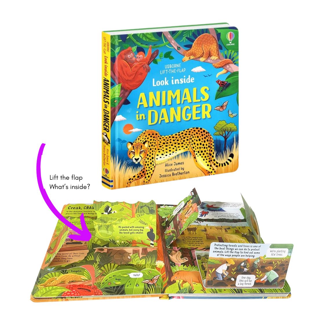 Usborne LOOK INSIDE (SINGLES, brand new Lift-the-flap Board book, w/ SLIGHT DENTS on book cover) Animals / Building Sites / Cars / Computers / Hospital / Sports / Things the Go / What Happens When You Eat / Our World / Your Body