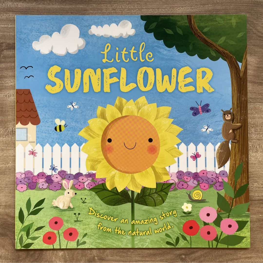 Storybooks Picture Flats (SINGLES, brand new SOFTCOVER) (Stories about Caterpillar, Raindrop, Rain, Snow, Snowflake, Love, Dinosaurs)