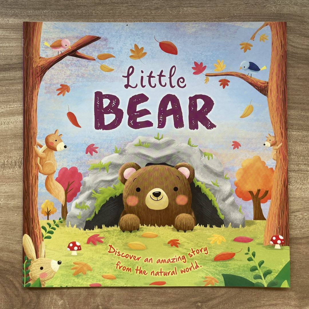 Storybooks Picture Flats (SINGLES, brand new SOFTCOVER) (Stories about Caterpillar, Raindrop, Rain, Snow, Snowflake, Love, Dinosaurs)