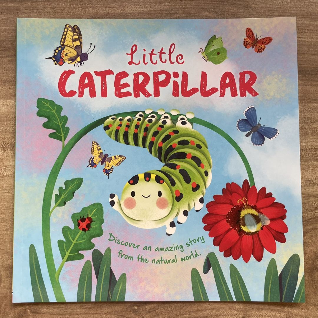 Storybooks Picture Flats (SINGLES, brand new SOFTCOVER) (Stories about Caterpillar, Raindrop, Rain, Snow, Snowflake, Love, Dinosaurs)