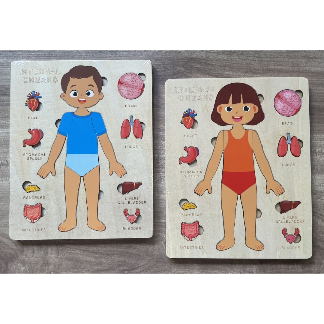 Human Body Anatomy / Human Organs / Human Structure Multi-Layer Wooden Puzzle – Montessori Educational Toy for Early Learning, Organ Recognition, Brain-Boosting Toy for Boys & Girls (Human Body Busy Board)