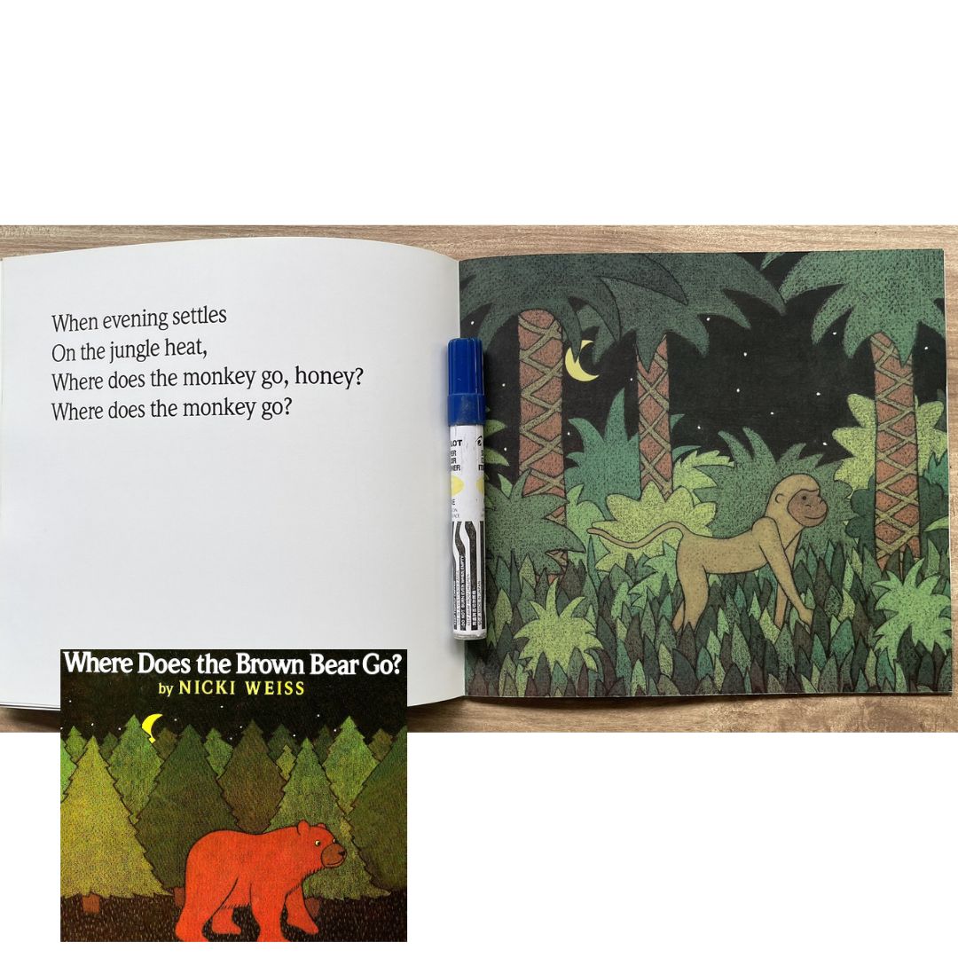 Where Does the Brown Bear Go? (brand new softcover)