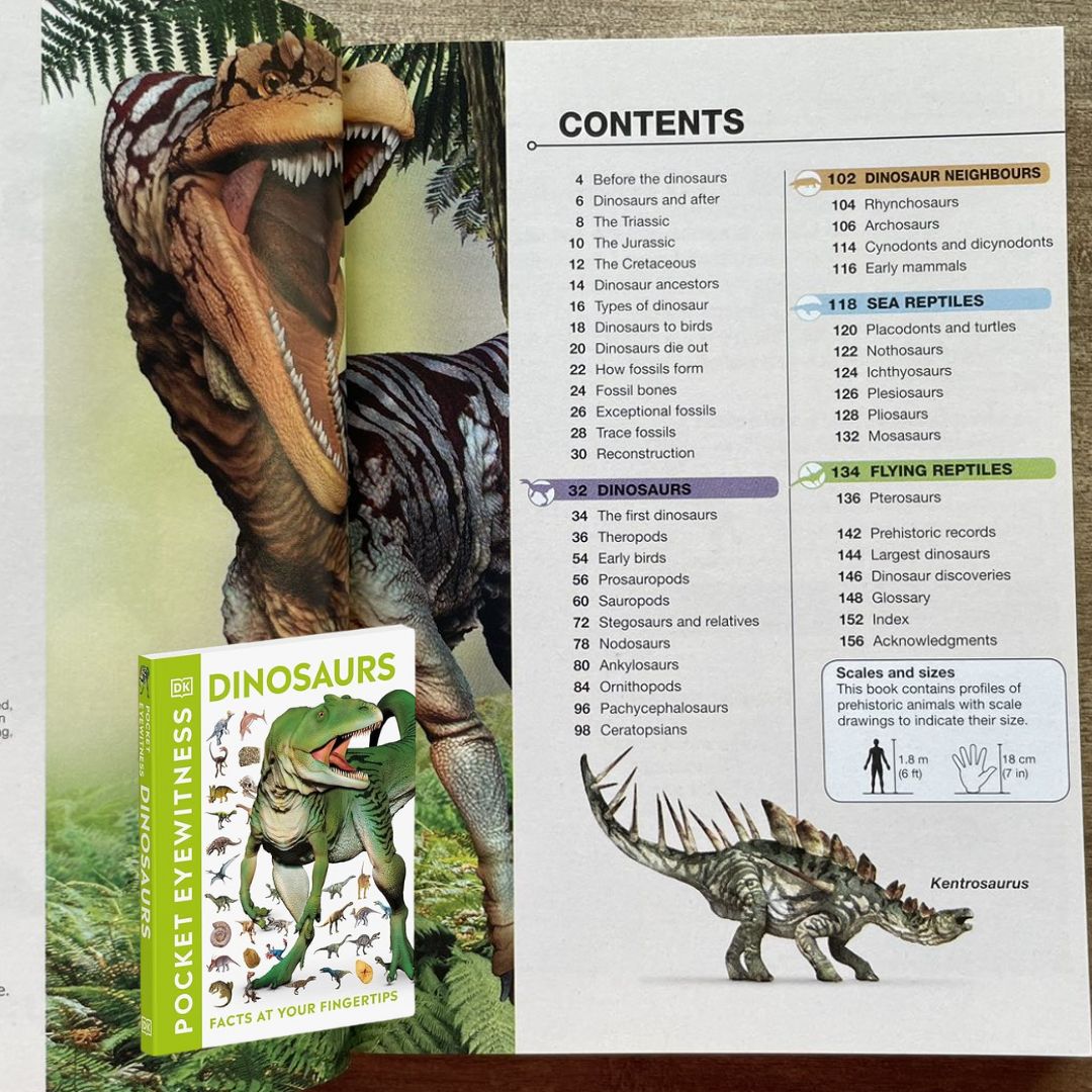 DK MINI Pocket Eyewitness: DINOSAURS (DK Facts at Your Fingertips) - brand new Paperback