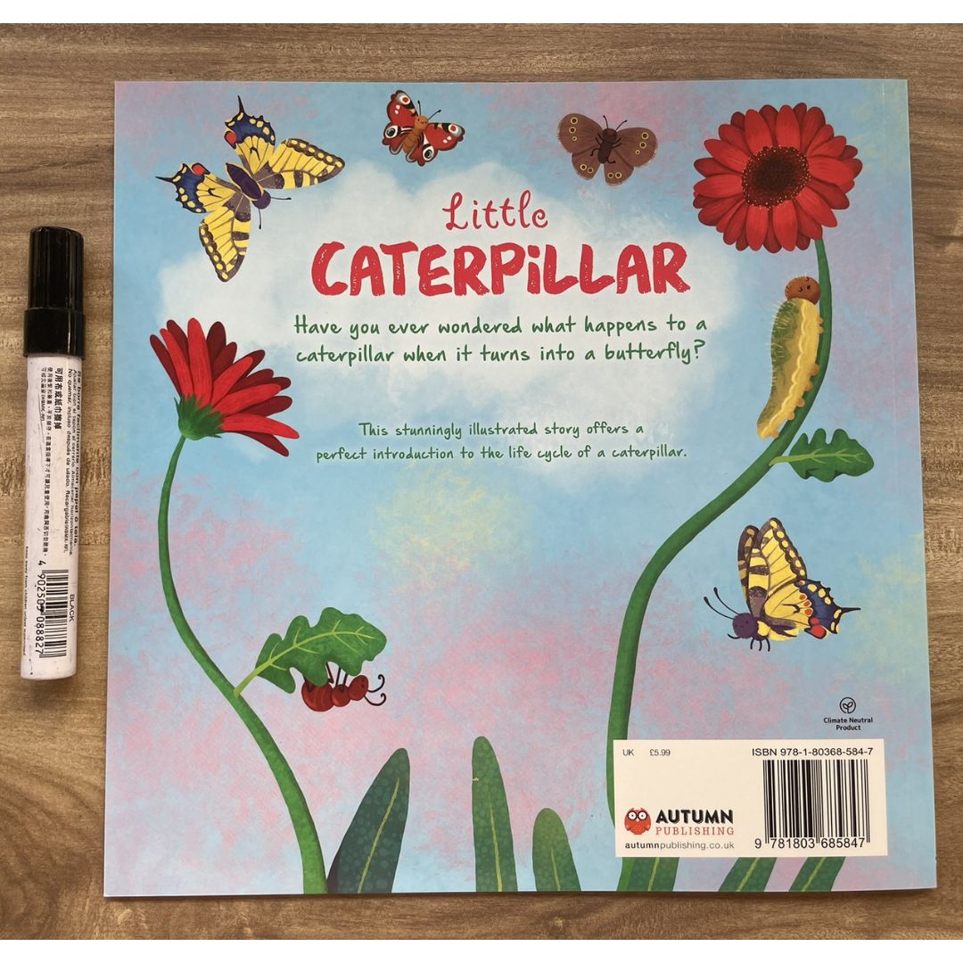 Storybooks Picture Flats (SINGLES, brand new SOFTCOVER) (Stories about Caterpillar, Raindrop, Rain, Snow, Snowflake, Love, Dinosaurs)
