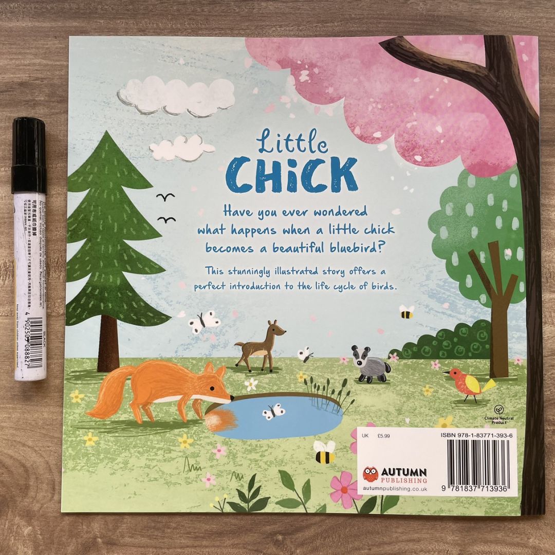 Storybooks Picture Flats (SINGLES, brand new SOFTCOVER) (Stories about Caterpillar, Raindrop, Rain, Snow, Snowflake, Love, Dinosaurs)