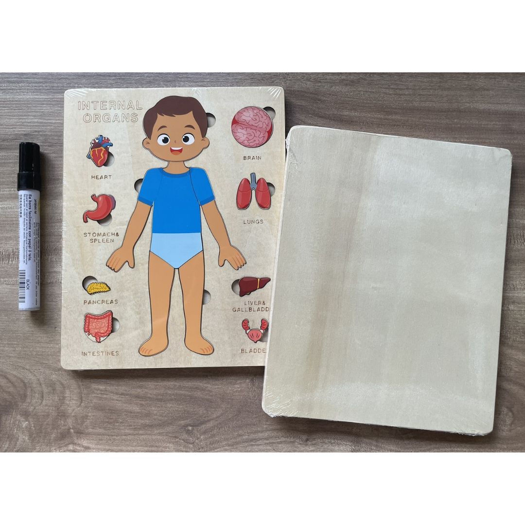 Human Body Anatomy / Human Organs / Human Structure Multi-Layer Wooden Puzzle – Montessori Educational Toy for Early Learning, Organ Recognition, Brain-Boosting Toy for Boys & Girls (Human Body Busy Board)