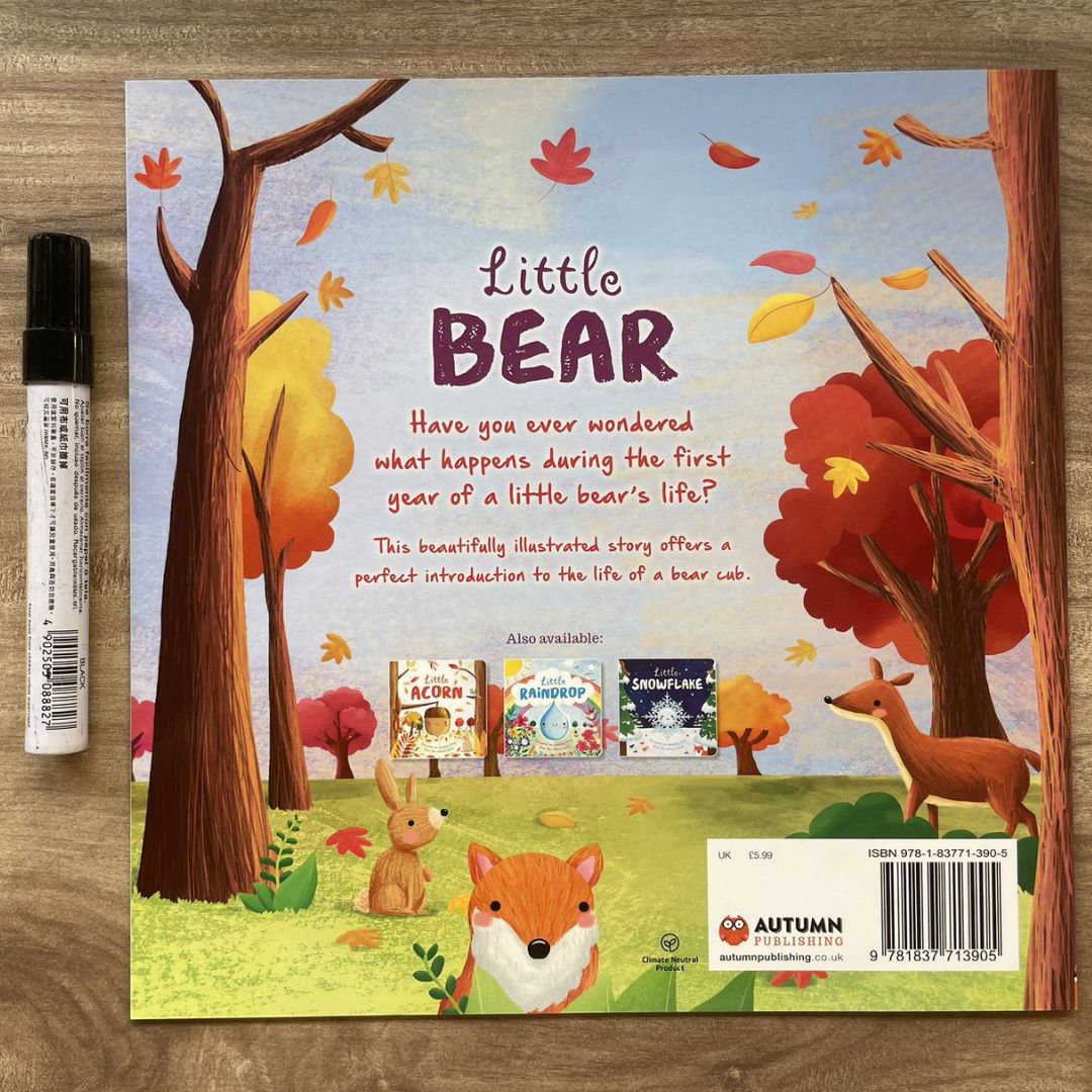 Storybooks Picture Flats (SINGLES, brand new SOFTCOVER) (Stories about Caterpillar, Raindrop, Rain, Snow, Snowflake, Love, Dinosaurs)