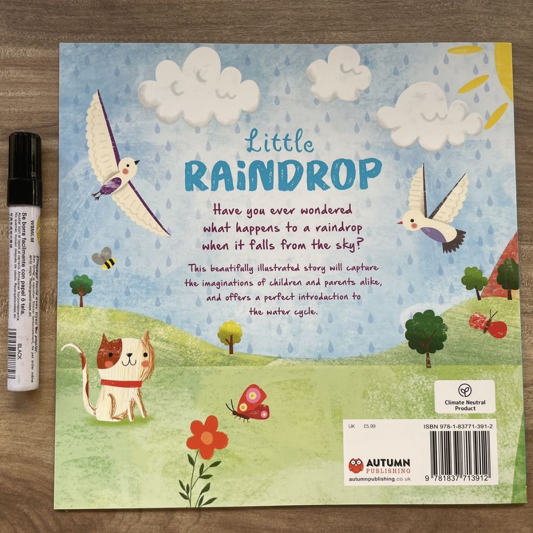Storybooks Picture Flats (SINGLES, brand new SOFTCOVER) (Stories about Caterpillar, Raindrop, Rain, Snow, Snowflake, Love, Dinosaurs)