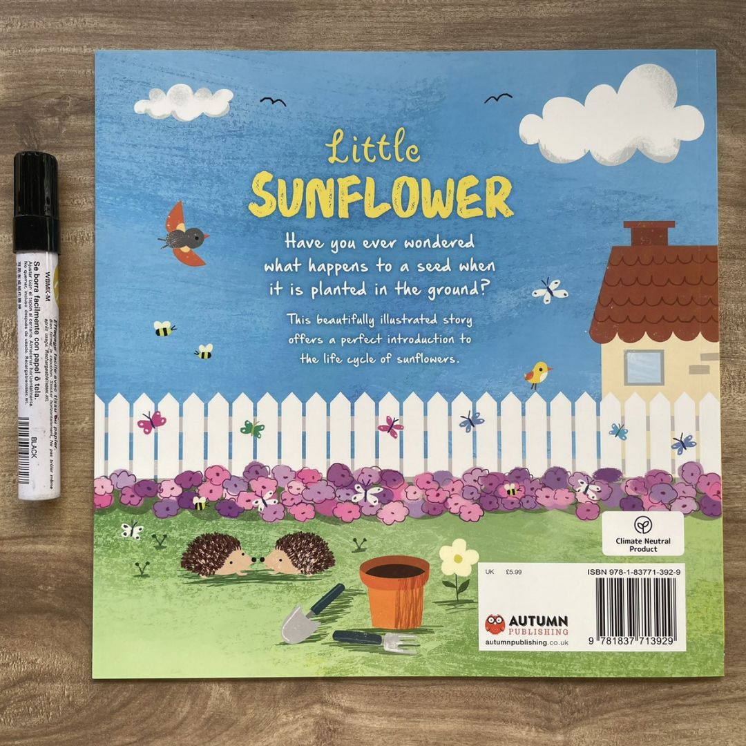 Storybooks Picture Flats (SINGLES, brand new SOFTCOVER) (Stories about Caterpillar, Raindrop, Rain, Snow, Snowflake, Love, Dinosaurs)
