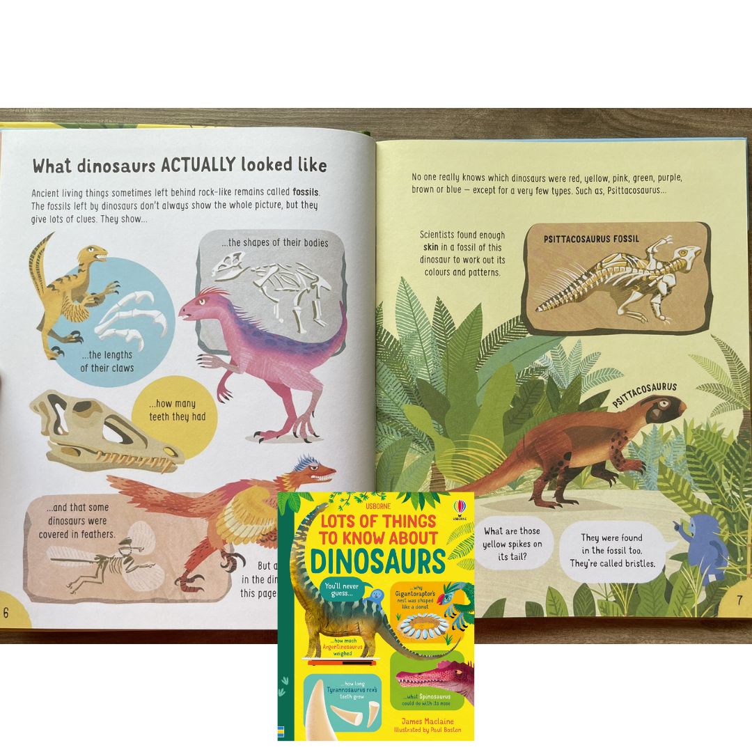 Usborne Lots of Things to Know About DINOSAURS (brand new Hardcover) - with SLIGHT DENTS on book cover