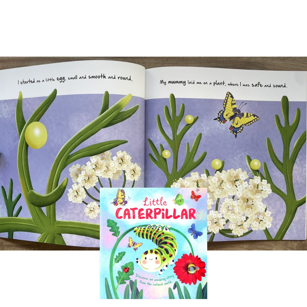Storybooks Picture Flats (SINGLES, brand new SOFTCOVER) (Stories about Caterpillar, Raindrop, Rain, Snow, Snowflake, Love, Dinosaurs)