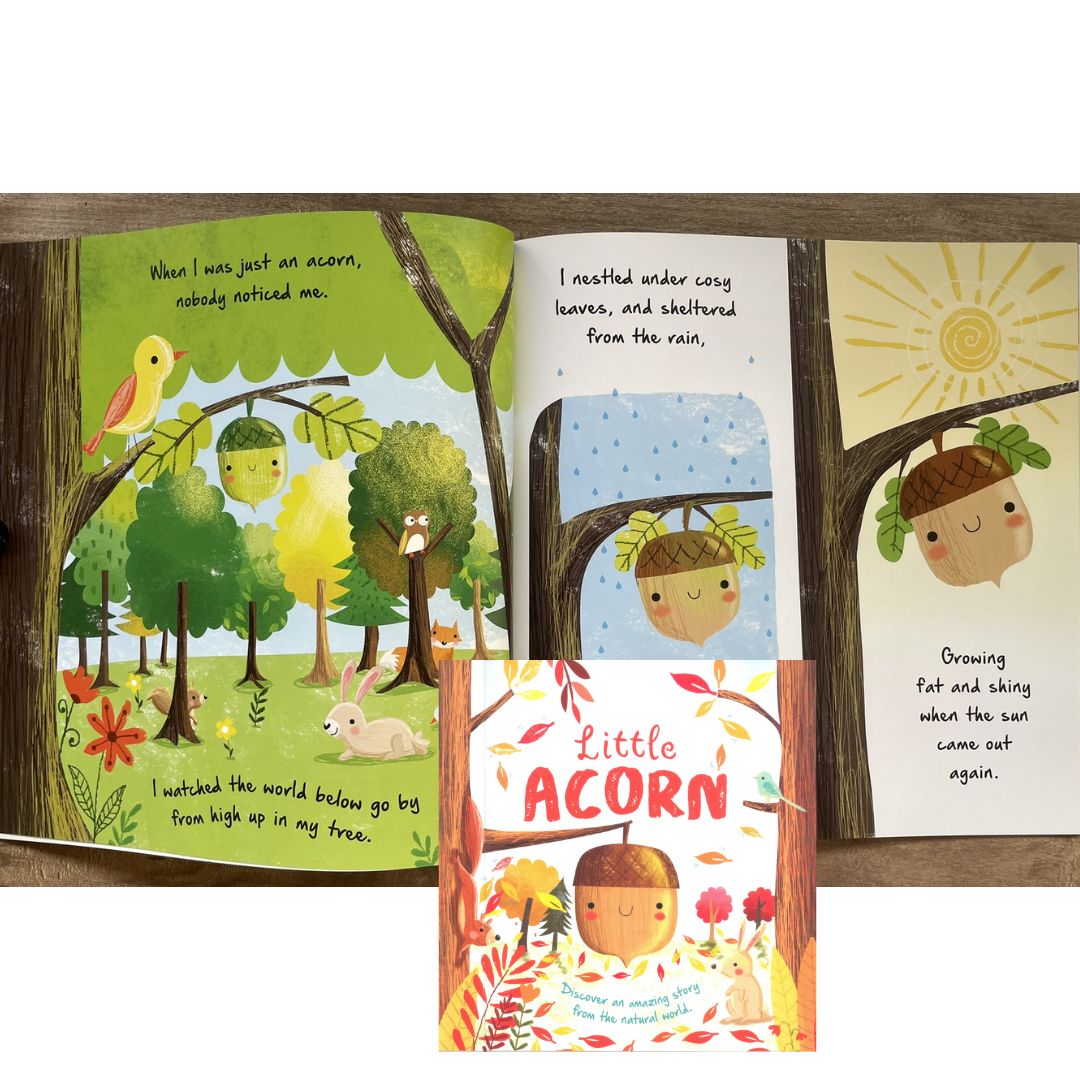 Storybooks Picture Flats (SINGLES, brand new SOFTCOVER) (Stories about Caterpillar, Raindrop, Rain, Snow, Snowflake, Love, Dinosaurs)