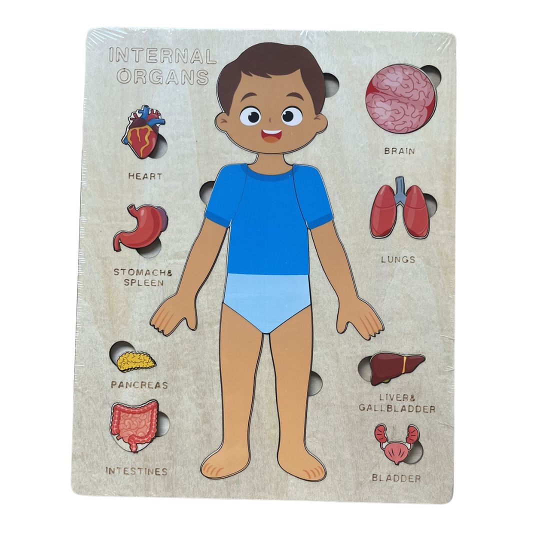 Human Body Anatomy / Human Organs / Human Structure Multi-Layer Wooden Puzzle – Montessori Educational Toy for Early Learning, Organ Recognition, Brain-Boosting Toy for Boys & Girls (Human Body Busy Board)