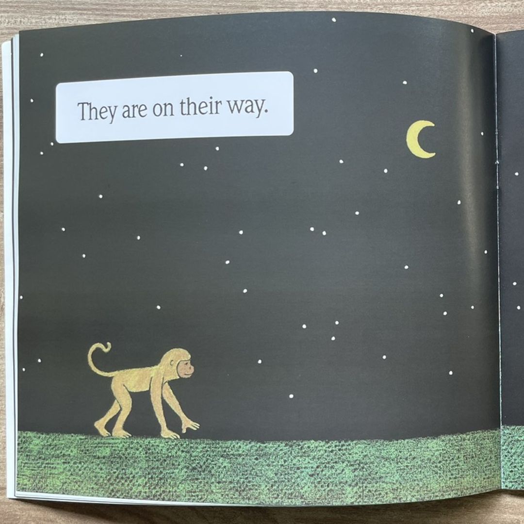 Where Does the Brown Bear Go? (brand new softcover)