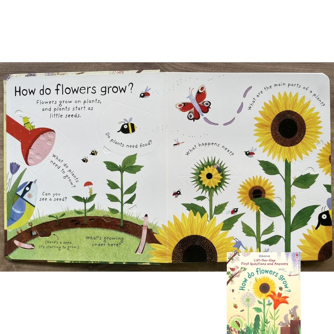Usborne Lift-the-flap First Questions and Answers: HOW DO FLOWERS GROW? (brand new board book)