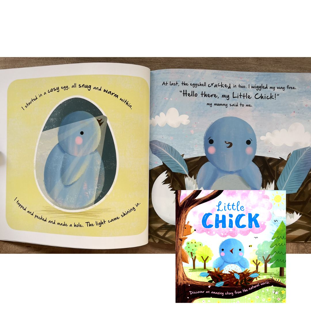 Storybooks Picture Flats (SINGLES, brand new SOFTCOVER) (Stories about Caterpillar, Raindrop, Rain, Snow, Snowflake, Love, Dinosaurs)