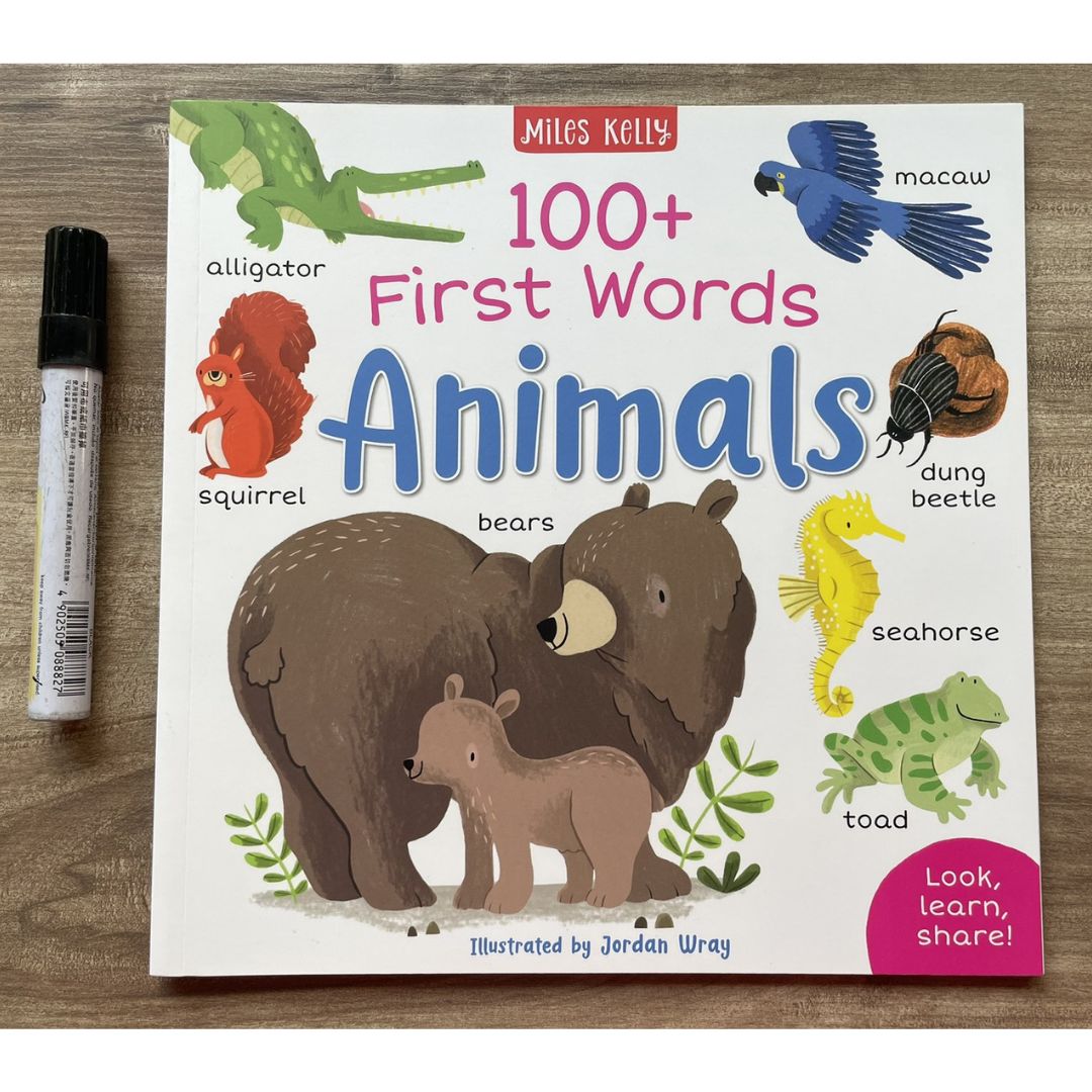 Miles Kelly 100+ FIRST WORDS (SINGLES, brand new softcover) Animals / Home / School / In the Sea / On the Go / Out and About