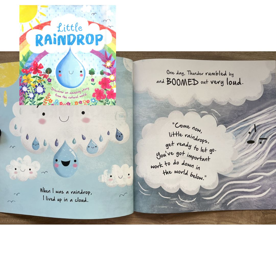 Storybooks Picture Flats (SINGLES, brand new SOFTCOVER) (Stories about Caterpillar, Raindrop, Rain, Snow, Snowflake, Love, Dinosaurs)