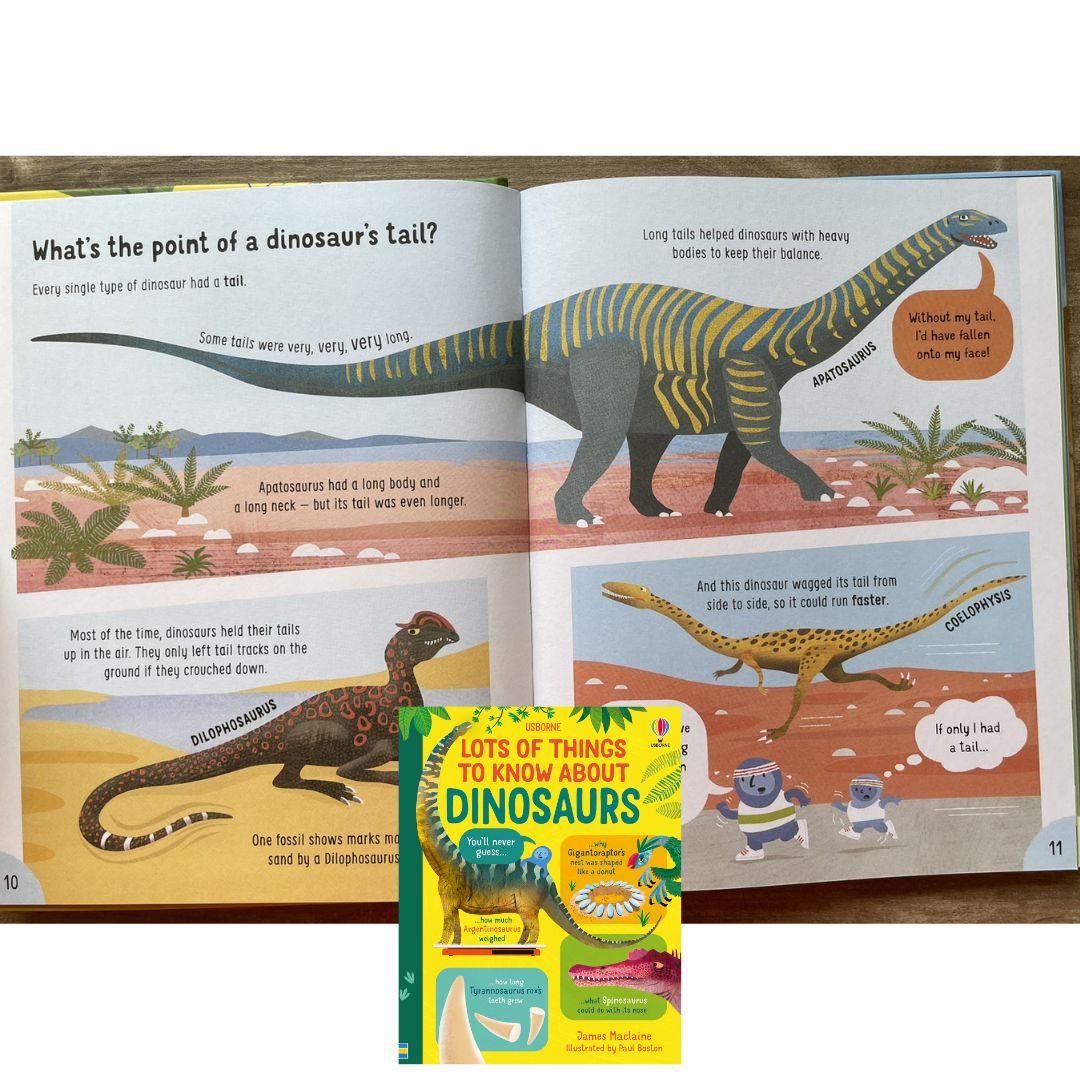 Usborne Lots of Things to Know About DINOSAURS (brand new Hardcover) - with SLIGHT DENTS on book cover