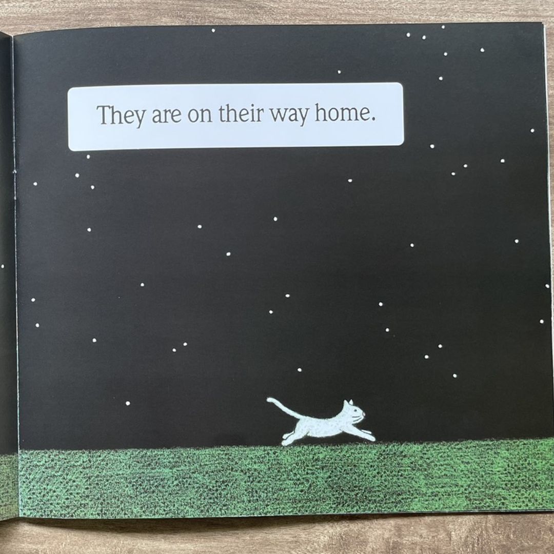 Where Does the Brown Bear Go? (brand new softcover)