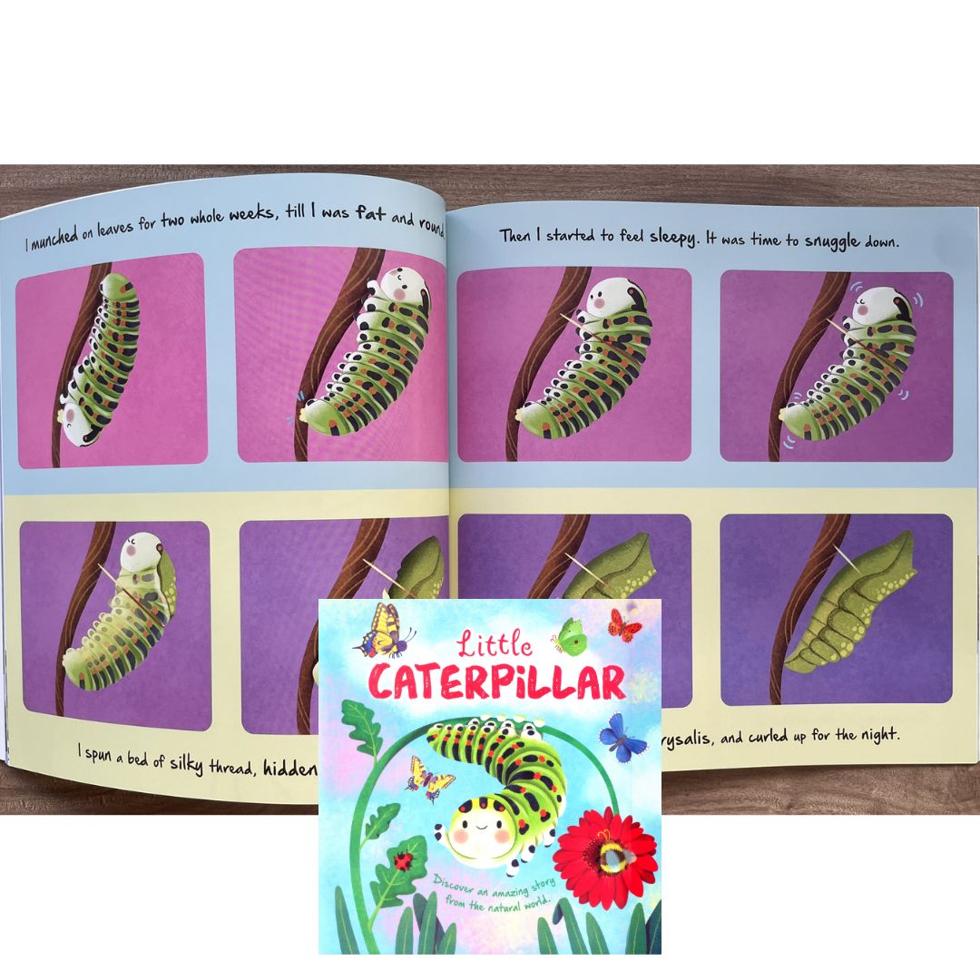 Storybooks Picture Flats (SINGLES, brand new SOFTCOVER) (Stories about Caterpillar, Raindrop, Rain, Snow, Snowflake, Love, Dinosaurs)