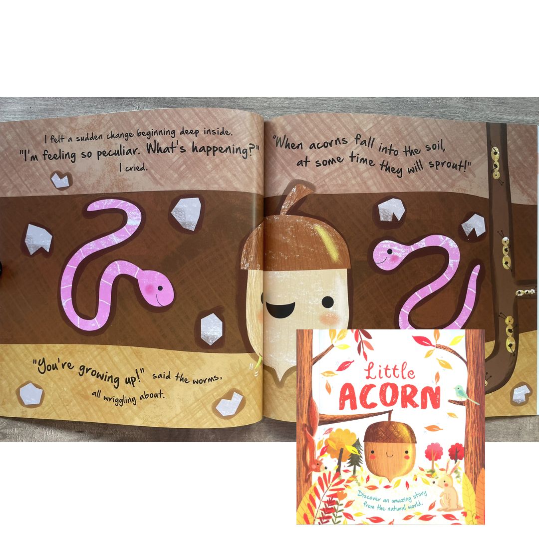 Storybooks Picture Flats (SINGLES, brand new SOFTCOVER) (Stories about Caterpillar, Raindrop, Rain, Snow, Snowflake, Love, Dinosaurs)