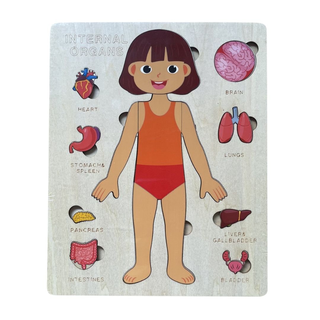 Human Body Anatomy / Human Organs / Human Structure Multi-Layer Wooden Puzzle – Montessori Educational Toy for Early Learning, Organ Recognition, Brain-Boosting Toy for Boys & Girls (Human Body Busy Board)