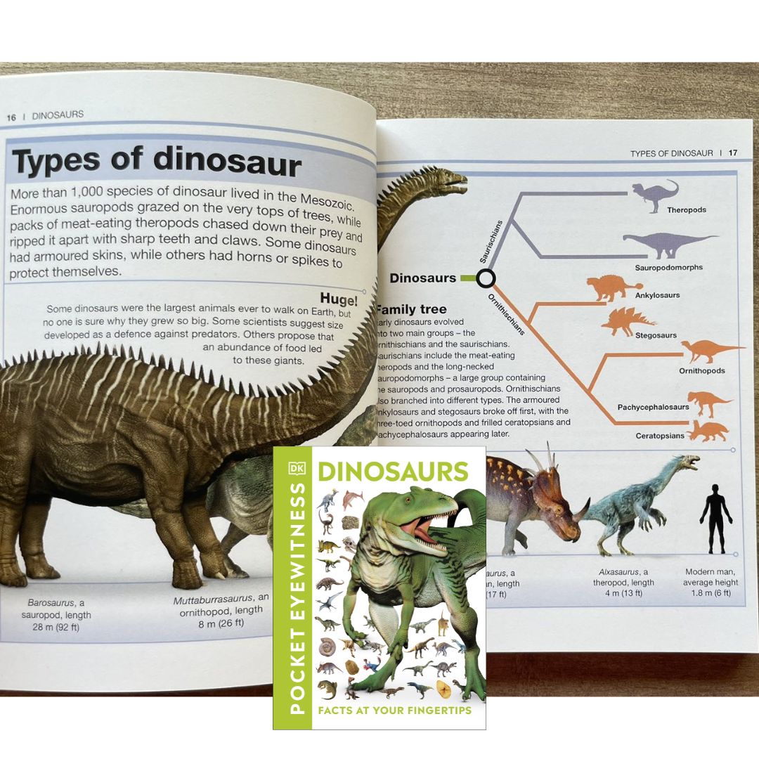 DK MINI Pocket Eyewitness: DINOSAURS (DK Facts at Your Fingertips) - brand new Paperback