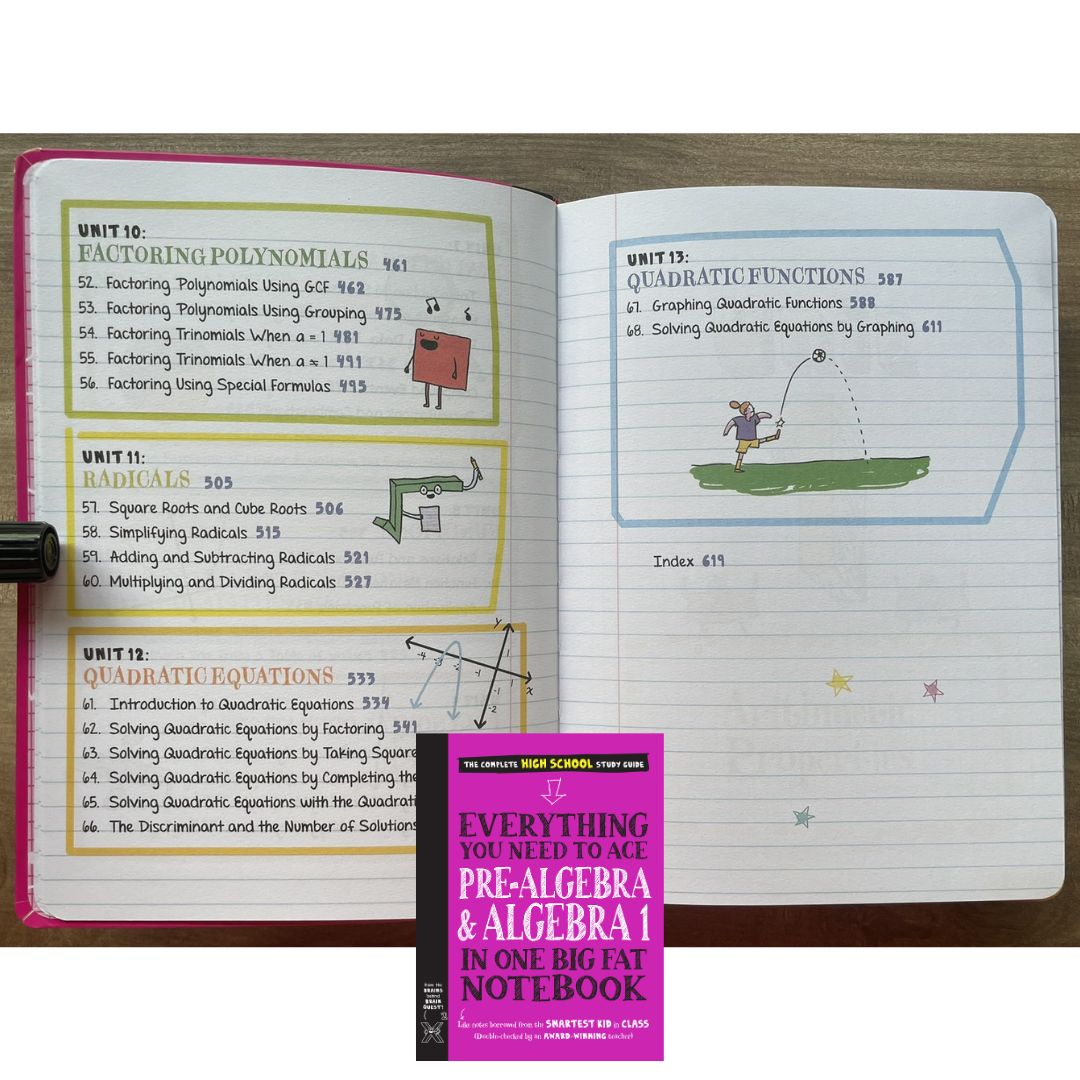 Everything You Need to Ace PRE-ALGEBRA and ALGEBRA 1 in One Big Fat Notebook (softcover)
