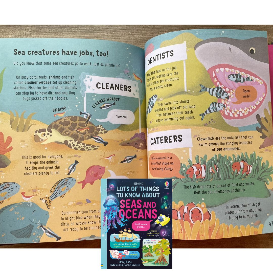 Usborne Lots of Things to Know About SEAS AND OCEANS (brand new Hardcover) - with SLIGHT DENTS on book cover