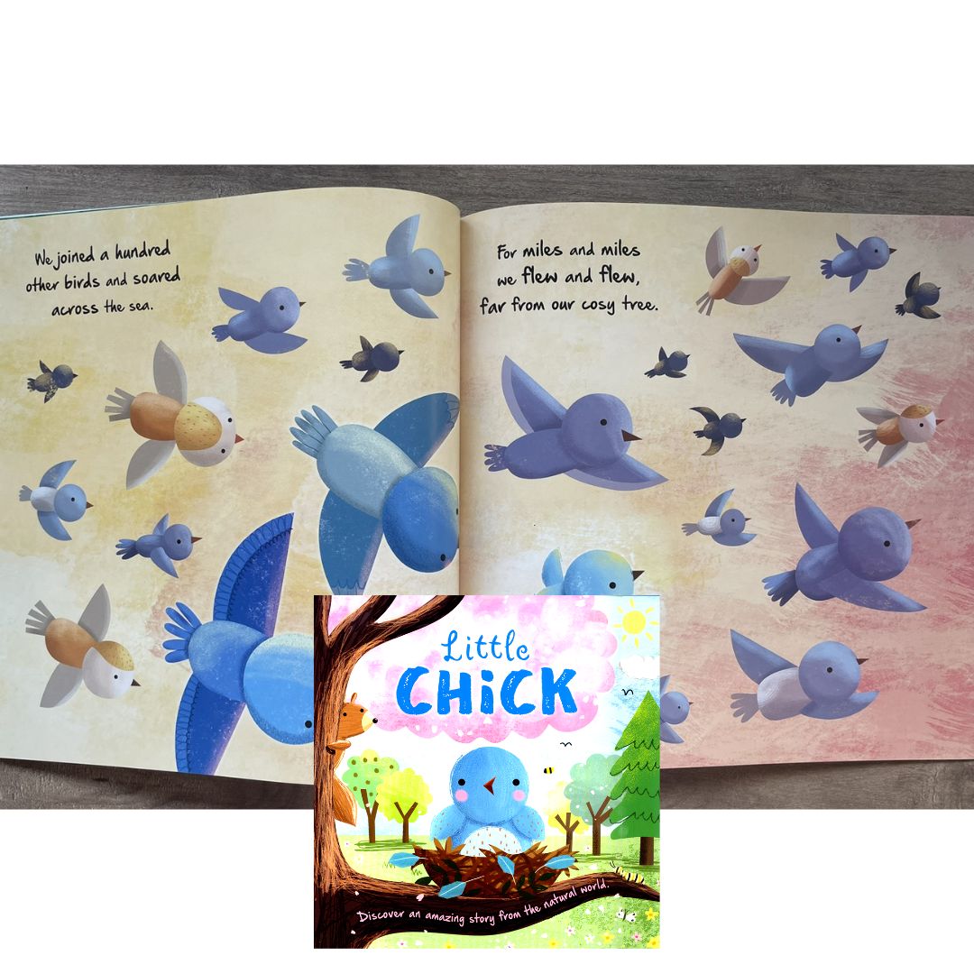 Storybooks Picture Flats (SINGLES, brand new SOFTCOVER) (Stories about Caterpillar, Raindrop, Rain, Snow, Snowflake, Love, Dinosaurs)